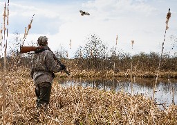 Tardinghen : le préfet du Pas-de-Calais condamne l'agresssion des chasseurs et annonce plusieurs mesures