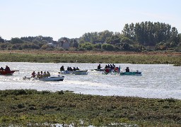 Etaples: 65 canotes prendront le départ de la joute ce dimanche 