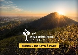 Les Terrils du Pays à Part élus « Espace Naturel Préféré du Pas-de-Calais ».