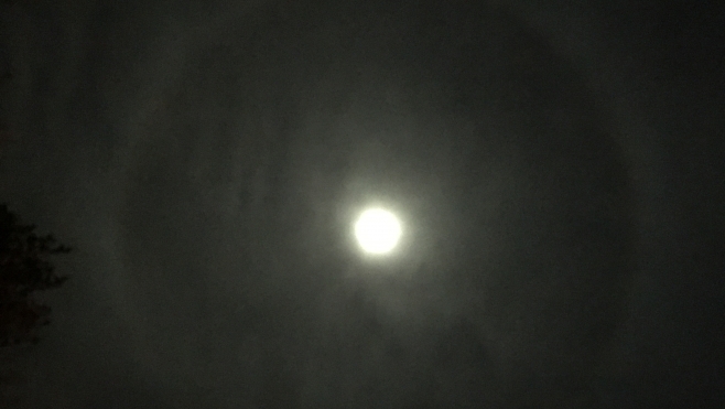 Un halo lunaire dans le ciel de Berck