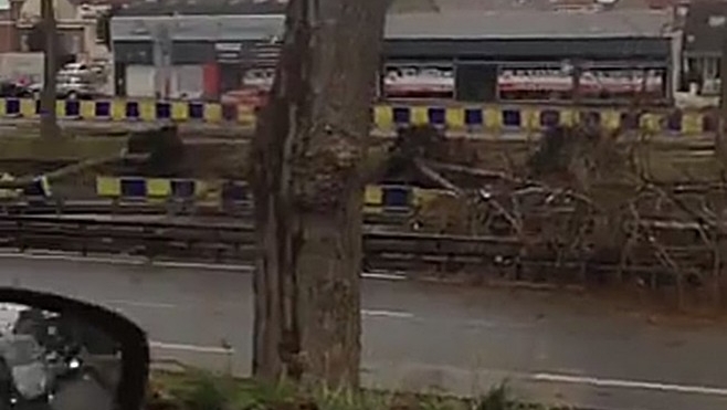 A Dunkerque, des arbres chutent sur 4 voitures. Aucun blessé !