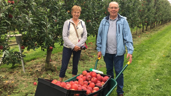 Sortie : cueillez vos pommes aux Vergers du Franc Picard