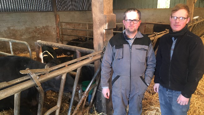 La viande la plus chère du monde est élevée en Baie de Somme