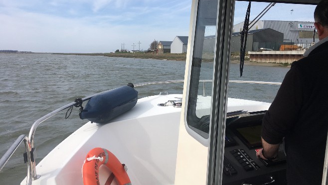 Sorties: la découverte de la Baie de Canche en bateau au départ du port d'Etaples 