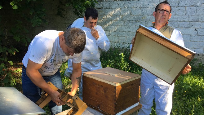 Des ruches d'abeilles ont été installées à Berck et à Verton