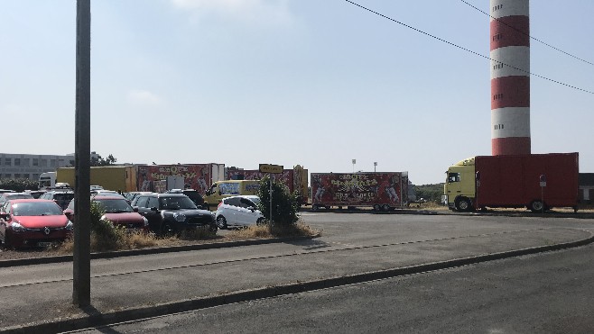 Berck : un dromadaire découvert mort dans les dunes 