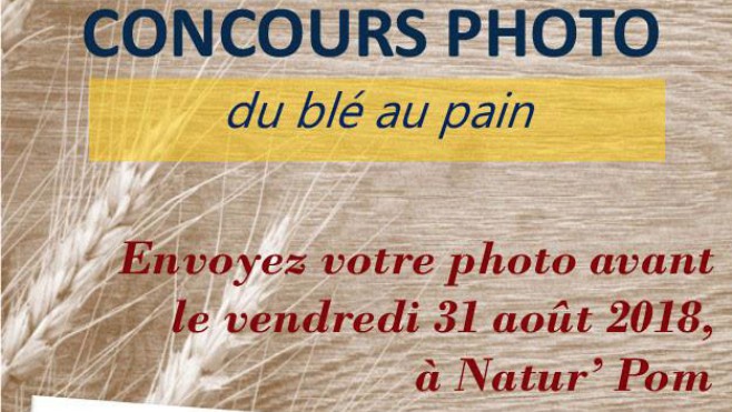 « Du blé au pain », un concours photo est lancé autour d’Audruicq !