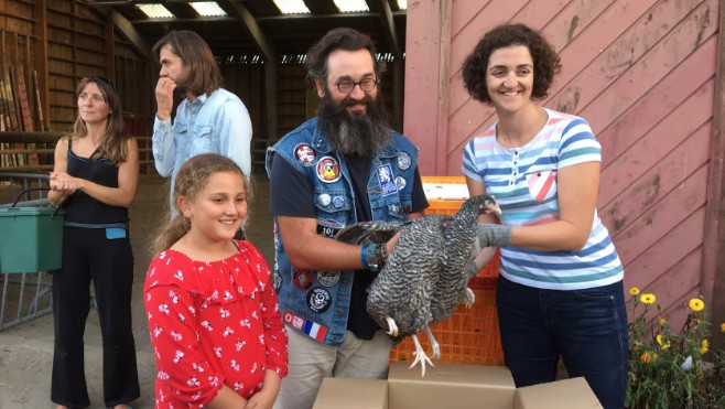 A Dunkerque, une centaine de poules distribuée à des familles !