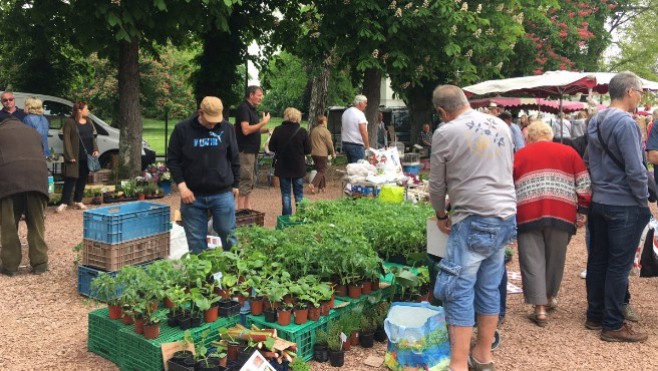 Audruicq, Etaples et Le Touquet sélectionnés pour le concours du plus beau marché de France