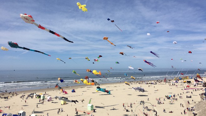 Berck: les Cerfs-Volants c'est dans un mois, quelles seront les nouveautés ? 