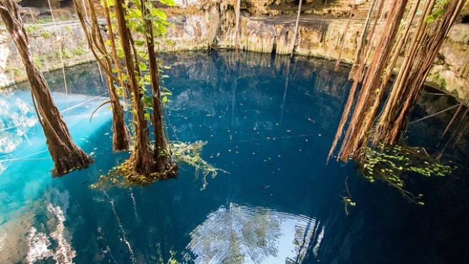 Tropicalia, dont les travaux vont démarrer fin 2019, abritera un cénote!