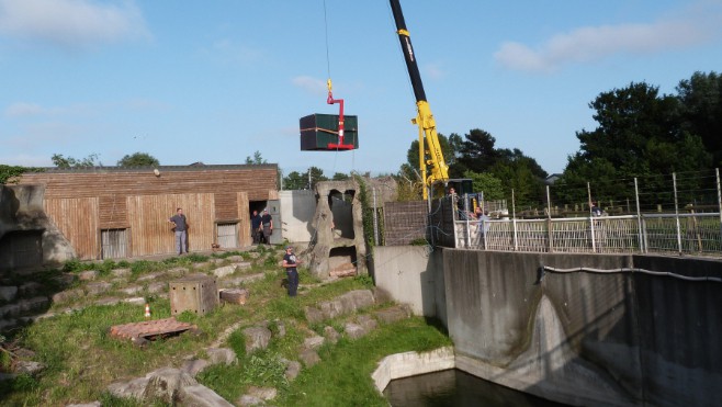 Zoo de Fort Mardyck : les ours Kiwi et Dominique sont partis !