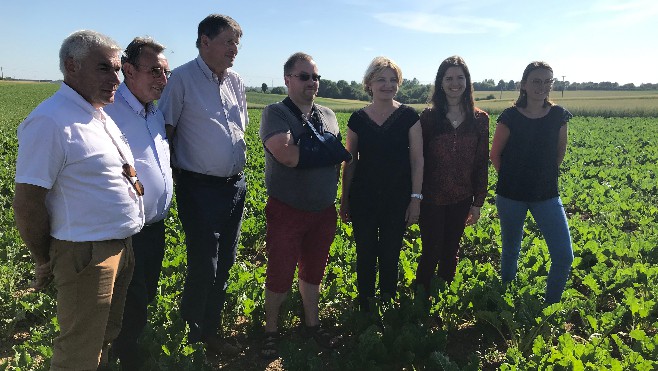 Troisvaux : le groupe Tereos est venu présenter l'une des premières parcelles de betteraves bio pour sa nouvelle campagne