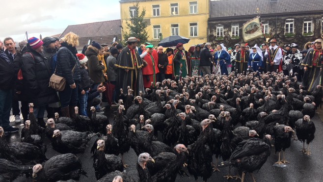 Licques : une fête de la dinde sous le vent et la pluie