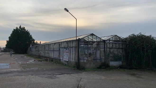 Berck: la jardinerie des Tulipes n'est pas en vente, mais un projet est bien prévu sur une parcelle à proximité