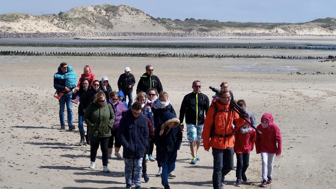 Berck : quels ateliers choisir avec  