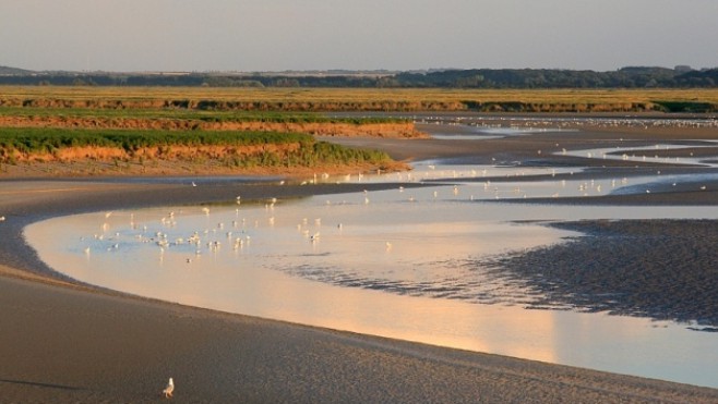 Parc naturel régional Baie de Somme Picardie Maritime : 