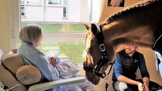 Calais: le cheval Peyo à la télévision ce lundi soir 