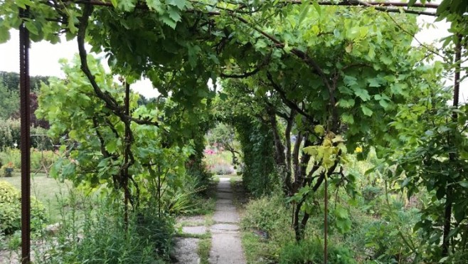 Profitez d'un instant de répit à l'Herbarium de Saint-Valery-sur-Somme