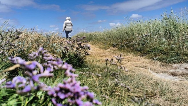 Fort-Mahon: participer à une parenthèse « green attitude » ce dimanche