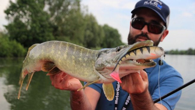 Dimanche, un concours de pêche sciences participatives est organisé à Samara.