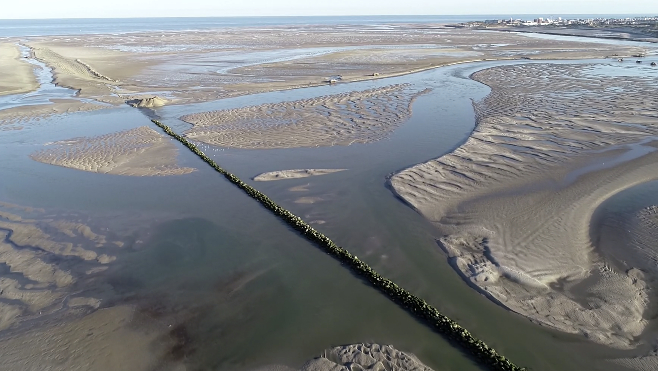 Désaccord autour de la digue Barrois en Baie d'Authie, des discussions entamées entre les élus du Montreuillois et de la Somme 