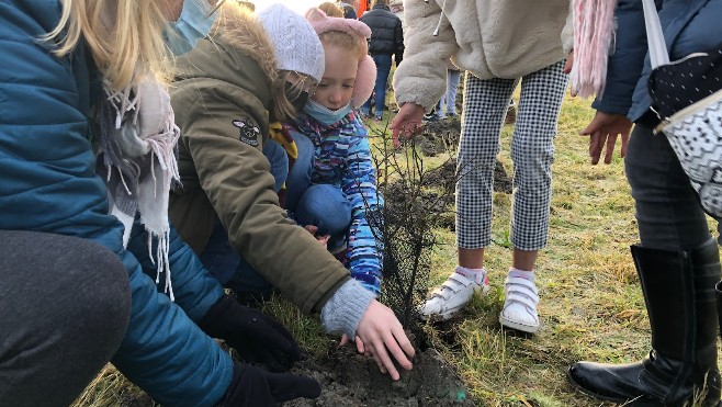 Ecoliers et lycéens ont planté 560 arbres au lac d'Armbouts-Cappel.