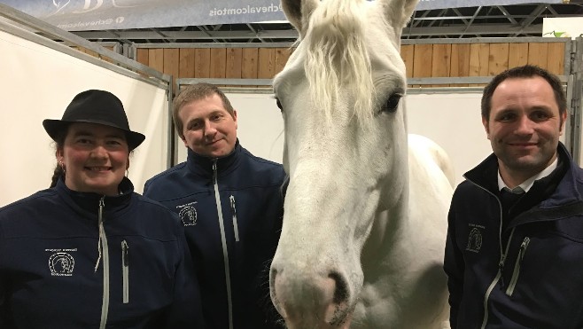 Au salon de l'agriculture : un premier prix au trophée inter-races pour deux juments d'Auxi-le-Château