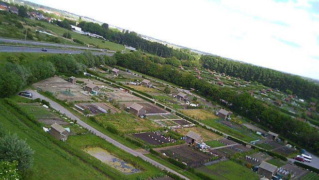 Création d’une fédération des jardins ouvriers à Calais