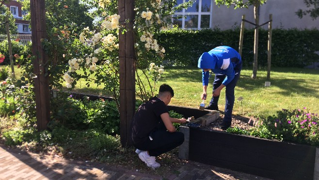 De jeunes allemands au chevet du jardin Tudor à Calais 