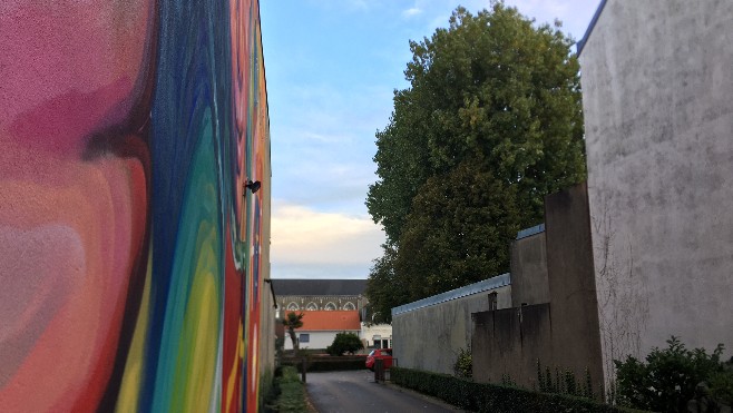 Les arbres gênants de l’école Sévigné Vauxhall à Calais en sursis