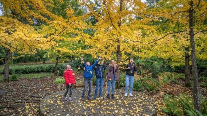 Idée de sortie ce week-end, c'est la Fête de l'Automne aux Jardins de Valloires 