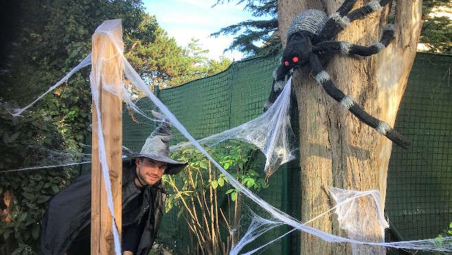 A Fort-Mardyck, le parc animalier Bio-Topia est aux couleurs d'Halloween !