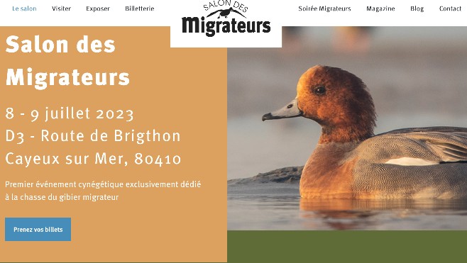 A Cayeux, plus de 13.000 visiteurs attendus ce week-end au salon des migrateurs