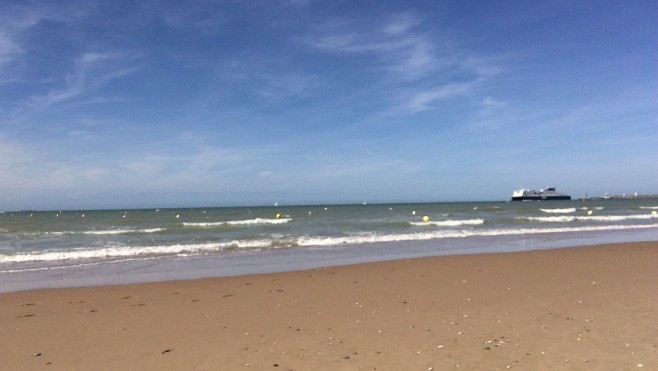 Nouvel arrêté réglementant la présence des chiens sur les plages de Sangatte et Blériot