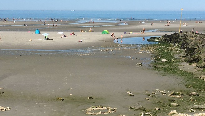 La pêche à pied des coquillages interdite en Baie d'Authie.