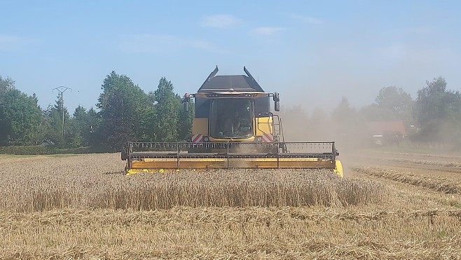 Les moissons ont pu reprendre avec le retour du soleil et la chaleur.