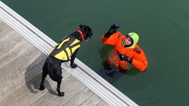 L’unité cynotechnique des pompiers du Pas-de-Calais en exercice au port de plaisance de Calais