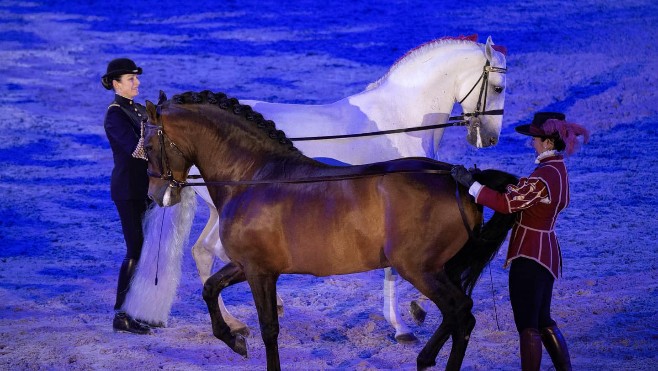 Equitation: le Touquet va accueillir le Gala du Cadre Noir, en mai 2025