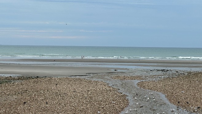 Baignade interdite à Wimereux