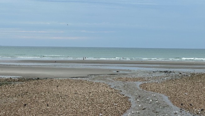 La baignade de nouveau autorisée à Wimereux