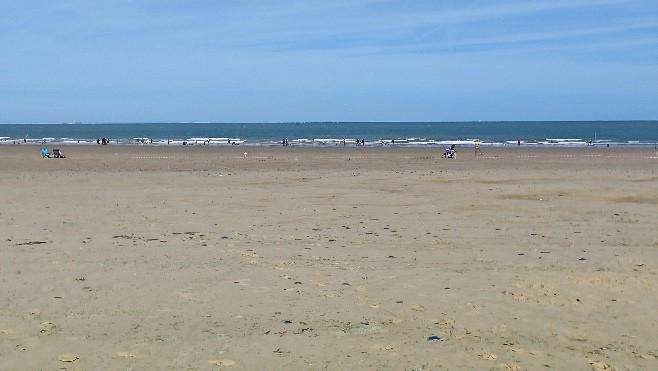 Grandes marées et méduses : les réactions des habitants et des touristes sur la plage. 