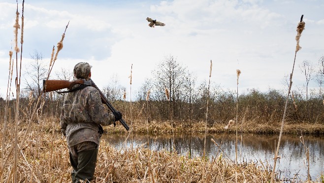 Tardinghen : le préfet du Pas-de-Calais condamne l'agresssion des chasseurs et annonce plusieurs mesures