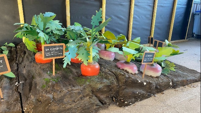 A Loon-plage, Croc'Expo présente les fruits et légumes de la fourche à la fourchette !