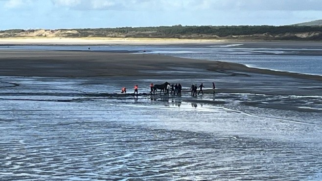 Touquet: trois chevaux envasés en Baie de Canche secourus ce lundi midi