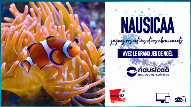 Grand jeu de noël - Gagnez des abonnements à Nausicaa et de nombreuses entrées pour toute la famille