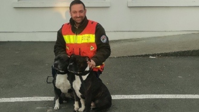 Deux chiens sauvent leur famille d'un incendie