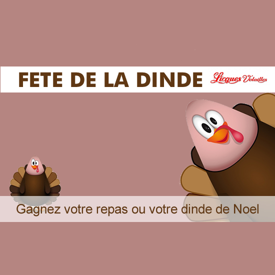 Gagnez vos dindes de Noel