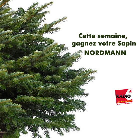 Gagnez votre Sapin Nordmann