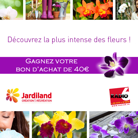 Gagnez votre bon d'achat de 40€ avec Jardiland à Audruicq